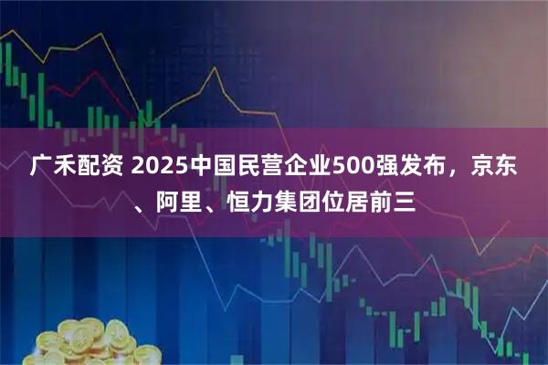 广禾配资 2025中国民营企业500强发布，京东、阿里、恒力集团位居前三